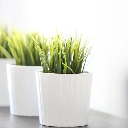 Apartman Wellness Sedmihorky